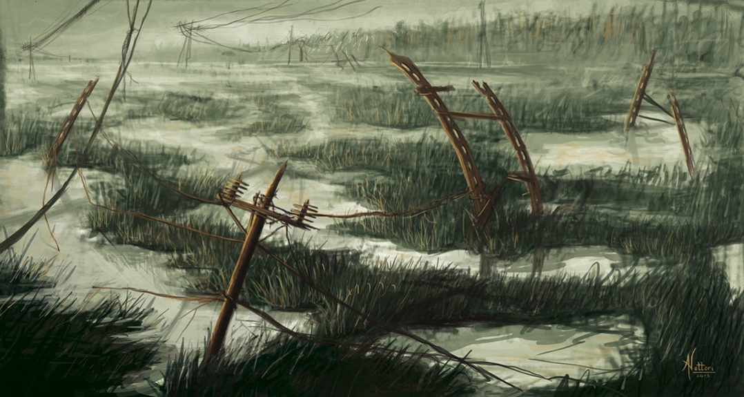 Swamp